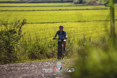 ODILTBB-10050