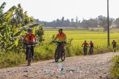 ODILTBB-10386