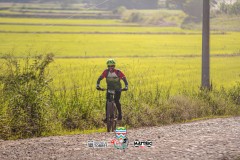 ODILTBB-10399