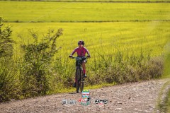 ODILTBB-10449