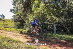 ODILTBB-6295