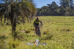 ODILTBB-7736