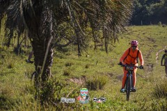 ODILTBB-7834
