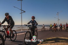 ODILTBB-8744