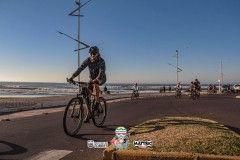 ODILTBB-8903