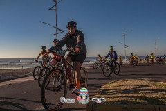 ODILTBB-9131