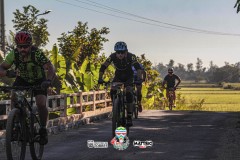 ODILTBB-9269