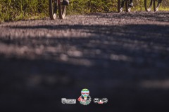 ODILTBB-9288
