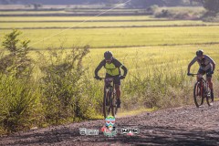 ODILTBB-9336