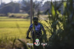 ODILTBB-9367