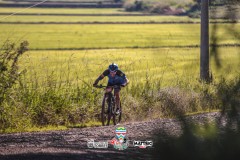 ODILTBB-9393