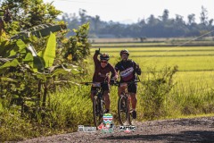 ODILTBB-9531