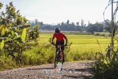 ODILTBB-9705