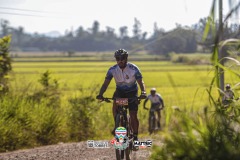 ODILTBB-9896