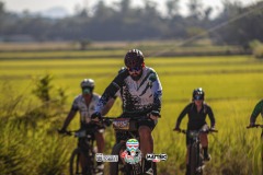ODILTBB-9924