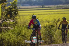 ODILTBB-9939