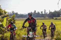 ODILTBB-9941