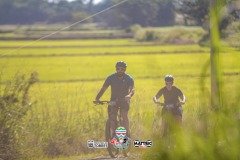 1_ODILTBB-10184
