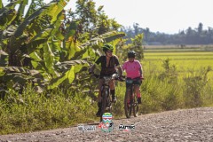 1_ODILTBB-10225