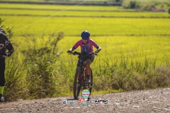 1_ODILTBB-10309