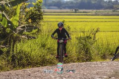 1_ODILTBB-10436