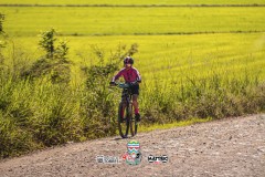 1_ODILTBB-10452