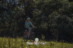 ODILTBB-4774