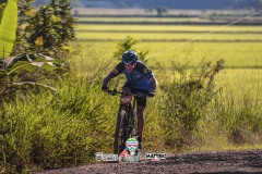 ODILTBB-9398