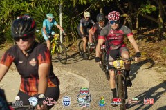 Torres-Beach-Bike-Mattric-Bikes-1018