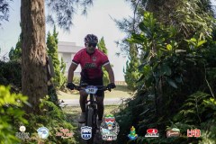 Torres-Beach-Bike-Mattric-Bikes-1106