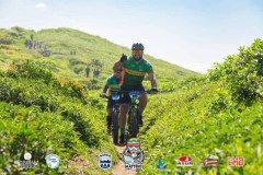 Torres-Beach-Bike-Mattric-Bikes-1171