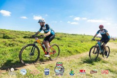 Torres-Beach-Bike-Mattric-Bikes-1172
