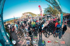 Torres-Beach-Bike-Mattric-Bikes-1195