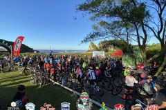 Torres-Beach-Bike-Mattric-Bikes-1594