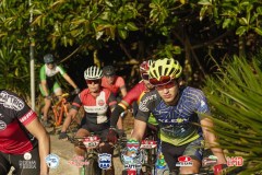 Torres-Beach-Bike-Mattric-Bikes-982