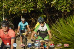 Torres-Beach-Bike-Mattric-Bikes-986